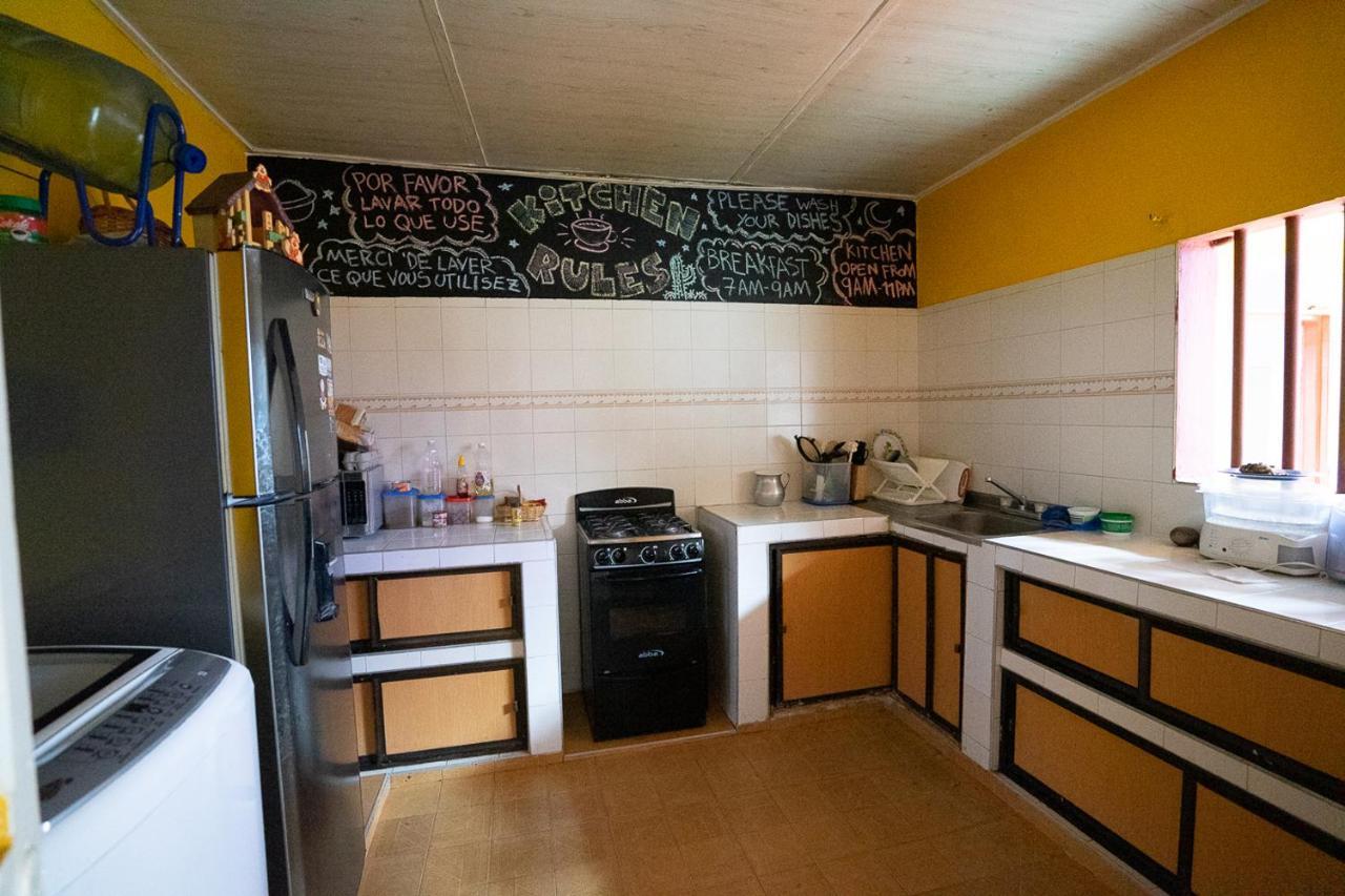 Backpackers And Travellers Hostel Неива Екстериор снимка