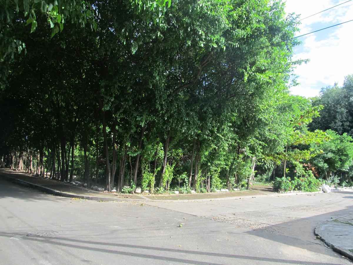 Backpackers And Travellers Hostel Неива Екстериор снимка